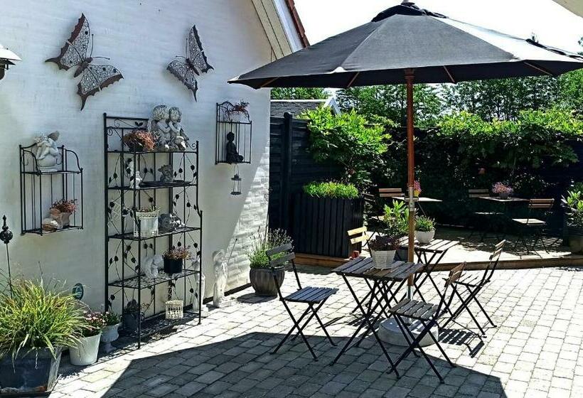 Номер Стандарт, Dragondrum Bed & Kitchen