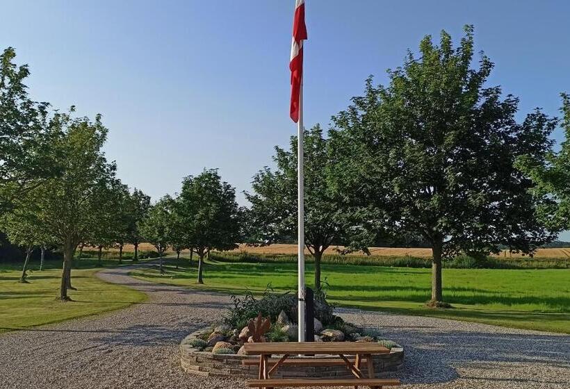 Номер Стандарт, Dragondrum Bed & Kitchen