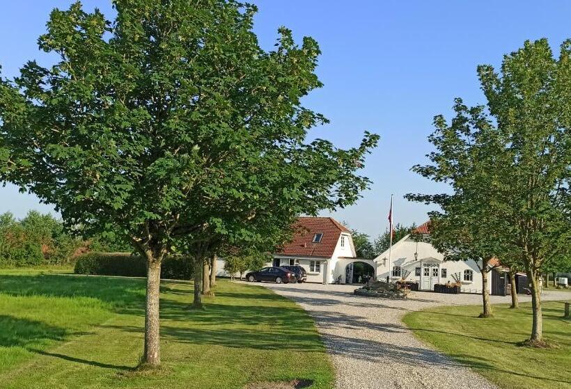 Номер Стандарт, Dragondrum Bed & Kitchen