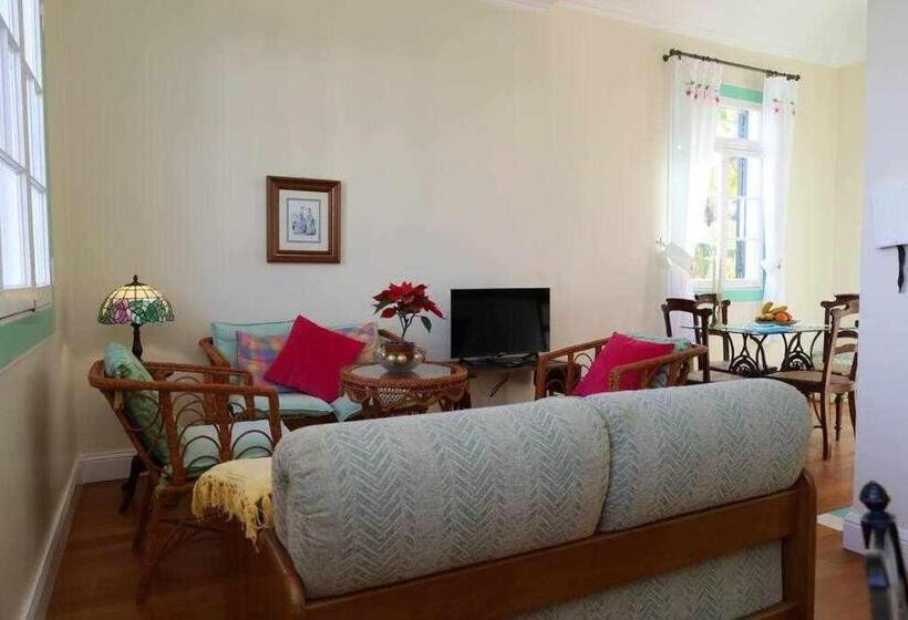 آپارتمان 1 خوابه با چشمانداز دریا, Quinta Das Hortênsias