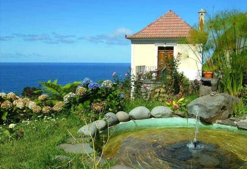 استودیوی استاندارد با چشمانداز دریا, Quinta Das Hortênsias