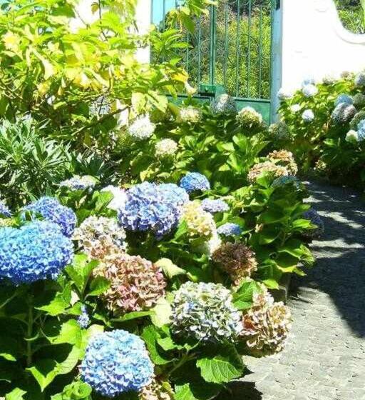 Студия Стандарт Вид на Море, Quinta Das Hortênsias