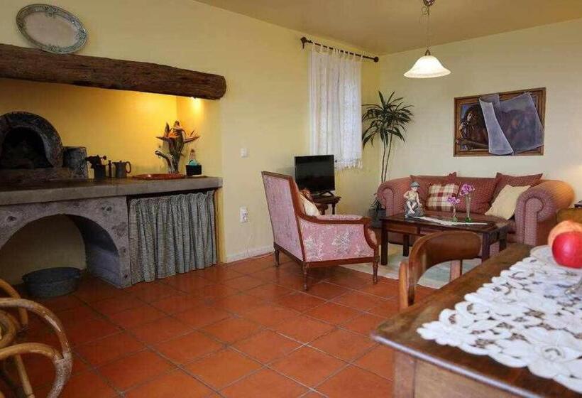 آپارتمان 1 خوابه با چشمانداز باغ, Quinta Das Hortênsias