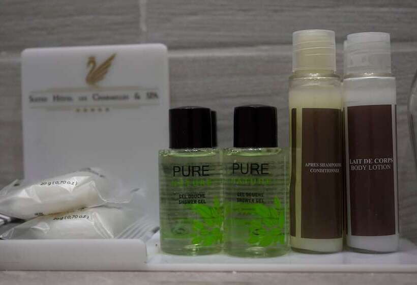 آپارتمان لوکس 1 خوابه, Suites Hôtel Les Charmilles & Spa