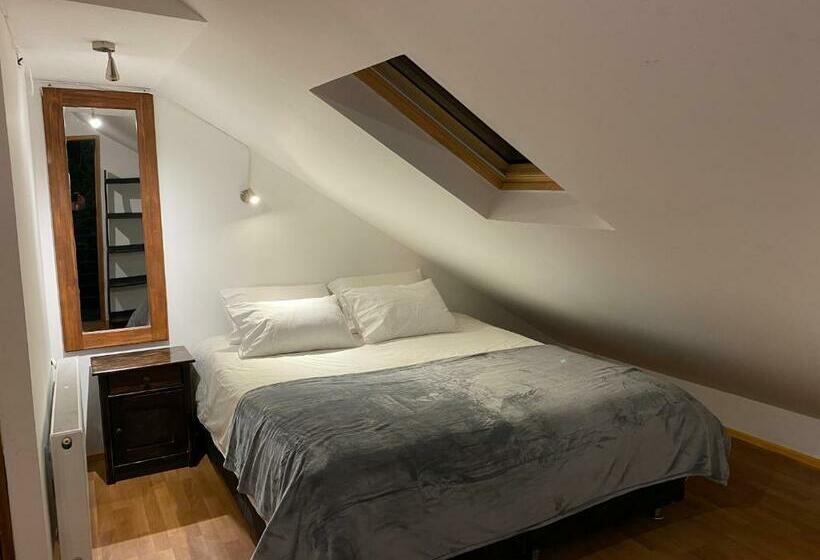 استودیوی استاندارد, French Andes Apart Hostel