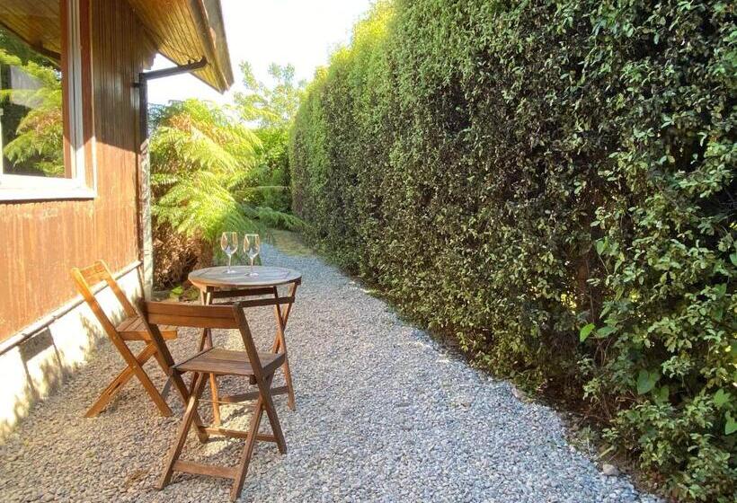 استودیو استاندارد با تراس, French Andes Apart Hostel