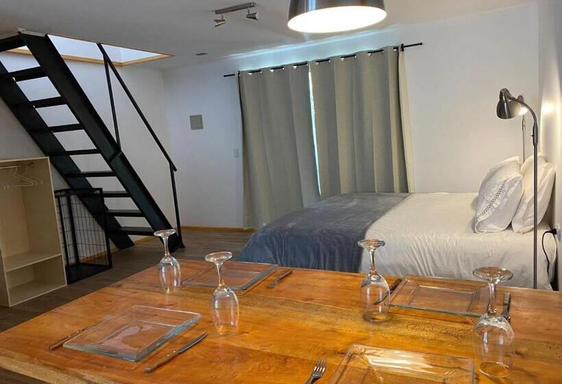 آپارتمان دوبلکس 1 خوابه, French Andes Apart Hostel