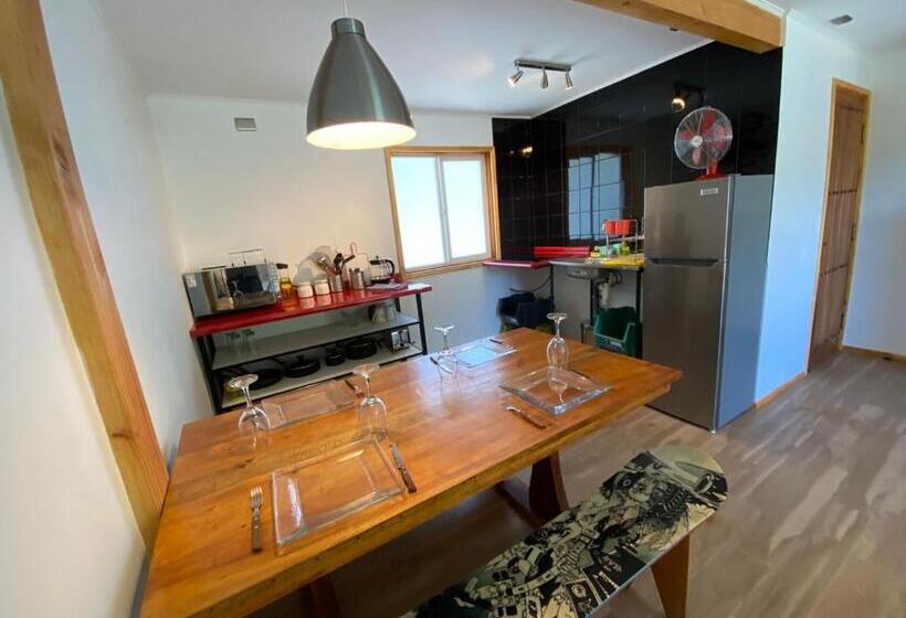 آپارتمان دوبلکس 1 خوابه, French Andes Apart Hostel