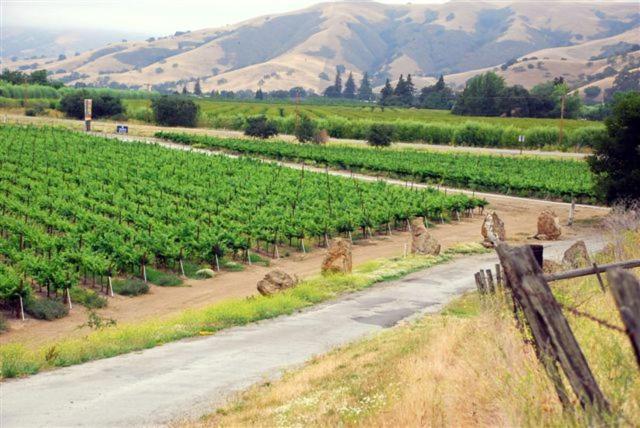 キングサイズベッドのデラックスルーム, Casa De Fruta Inn