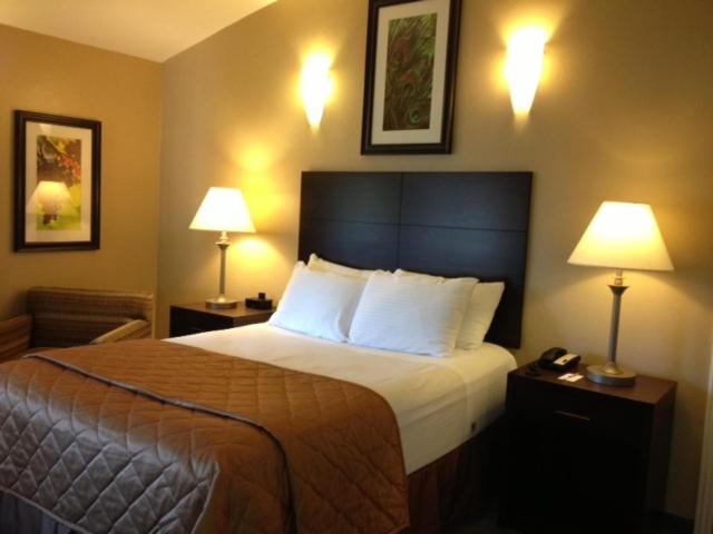 身障者適用スタンダードルーム, Casa De Fruta Inn