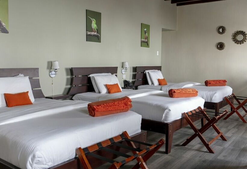 패밀리 룸, Colonial San Agustin