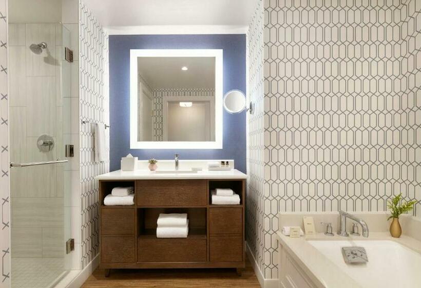 小型套房, Fairmont Austin