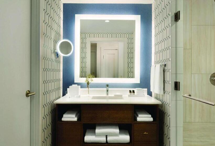 豪华房间, Fairmont Austin