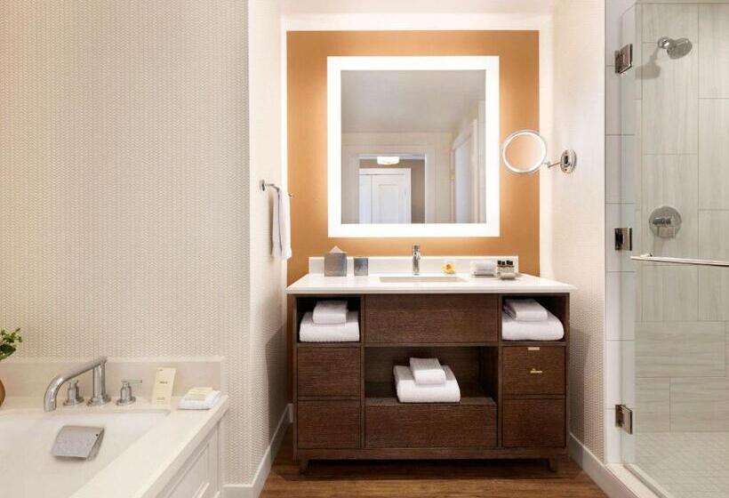 带大床的标准间, Fairmont Austin