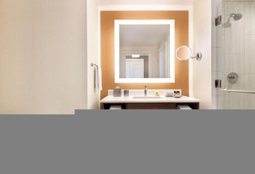 带大床的小型套房, Fairmont Austin