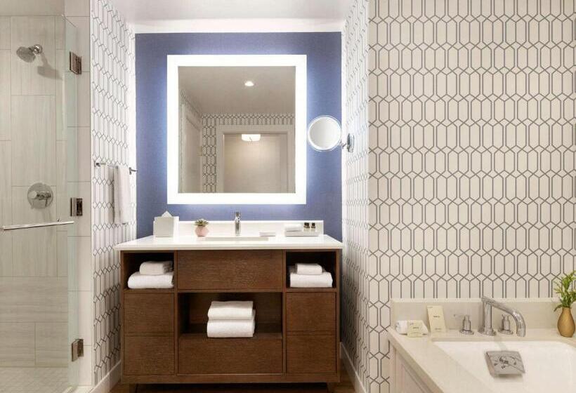 小型套房, Fairmont Austin