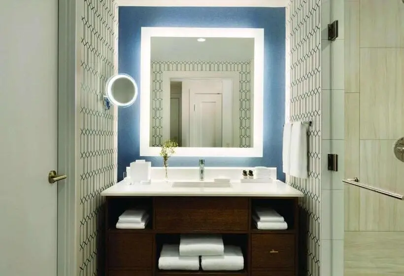 Deluxe-huone Soveltuu Liikuntarajoitteisille, Fairmont Austin
