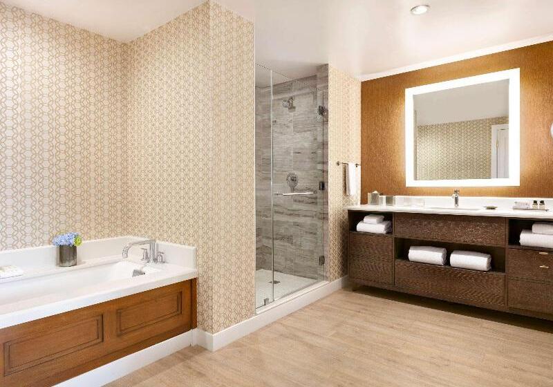 带大床的套房, Fairmont Austin