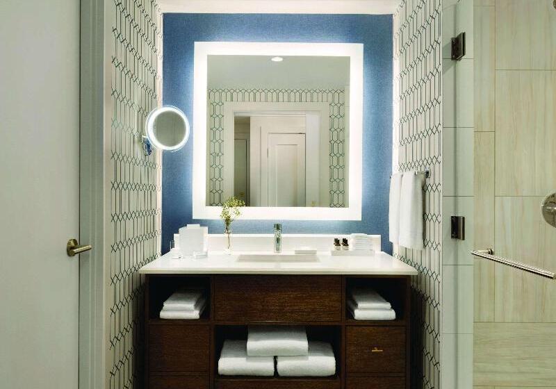 豪华房间, Fairmont Austin