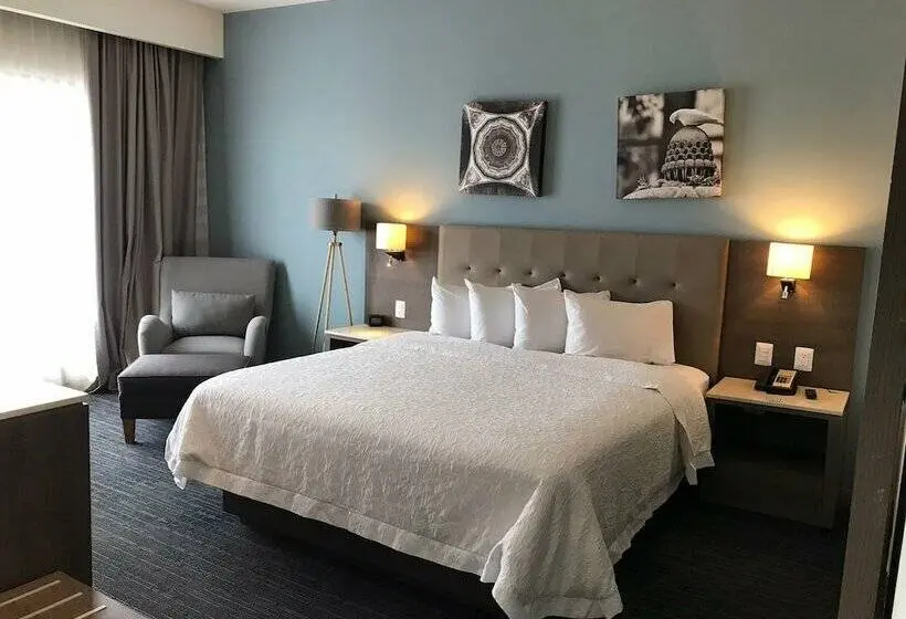 ２ダブルベッドのスタンダードルーム, Hampton Inn Celaya Mexico