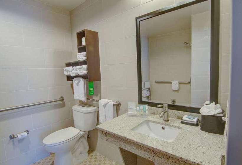 חדר סטנדרט, Hampton Inn Miami   Airport East, Fl