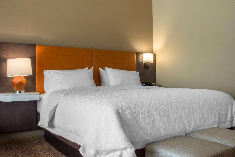스탠다드 룸 킹사이즈 침대, Hampton Inn Parker