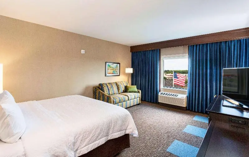 اتاق استاندارد, Hampton Inn & Suites Duluth North / Mall Area