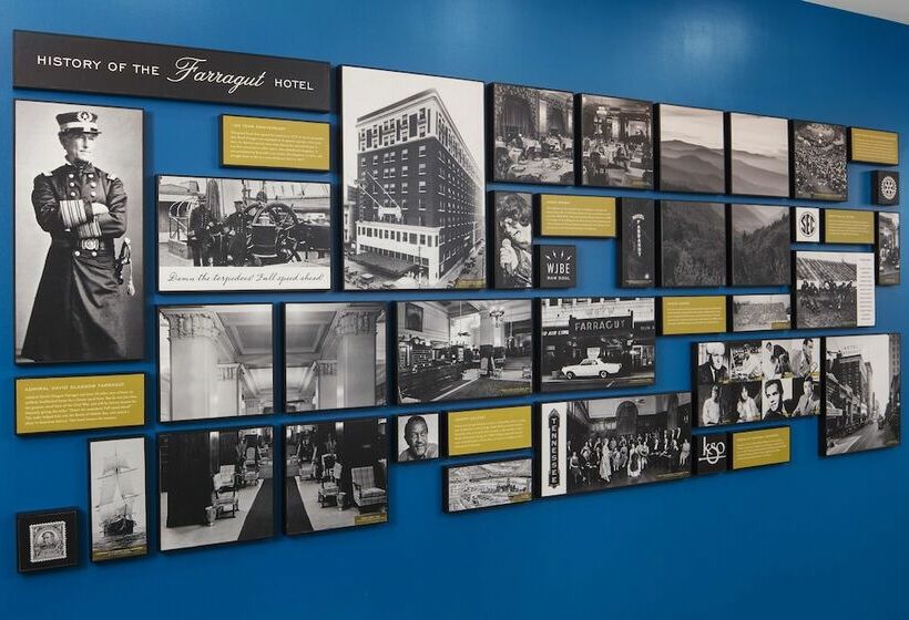 اتاق استاندارد با تخت دو نفره بزرگ برای معلولان, Hyatt Place Knoxville/downtown