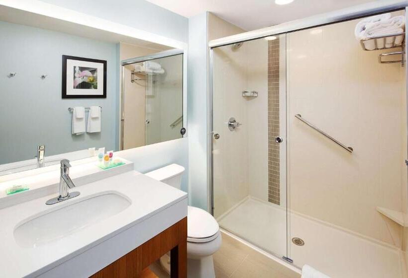 اتاق استاندارد با تخت بزرگ, Hyatt Place Knoxville/downtown