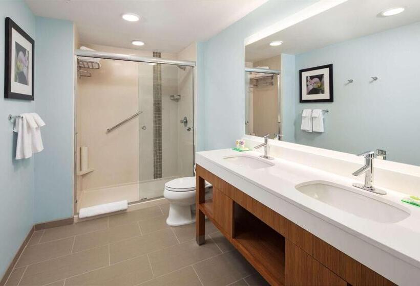سوئیت با تخت بزرگ, Hyatt Place Knoxville/downtown