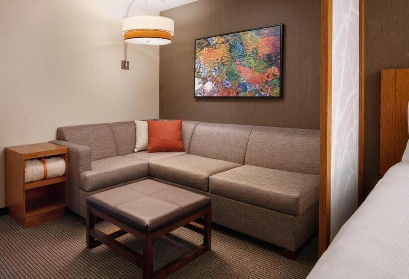سوئیت با تخت بزرگ, Hyatt Place Knoxville/downtown