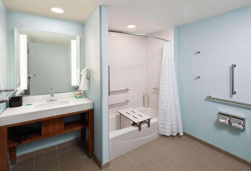 اتاق استاندارد با تخت بزرگ برای معلولان, Hyatt Place Knoxville/downtown