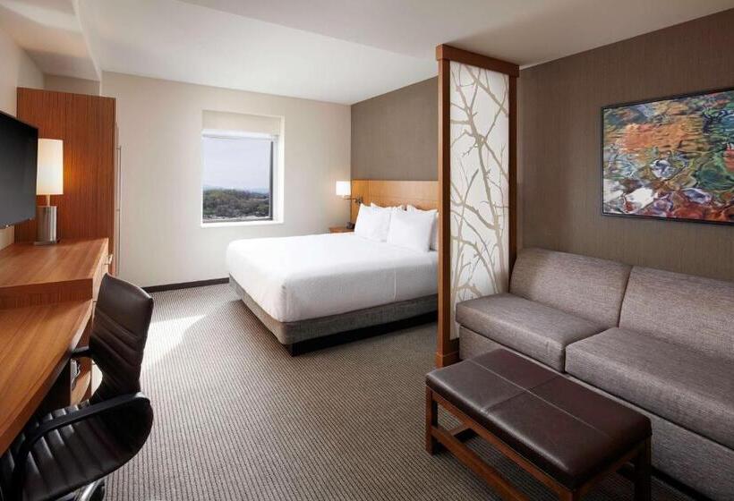 اتاق استاندارد با تخت بزرگ برای معلولان, Hyatt Place Knoxville/downtown