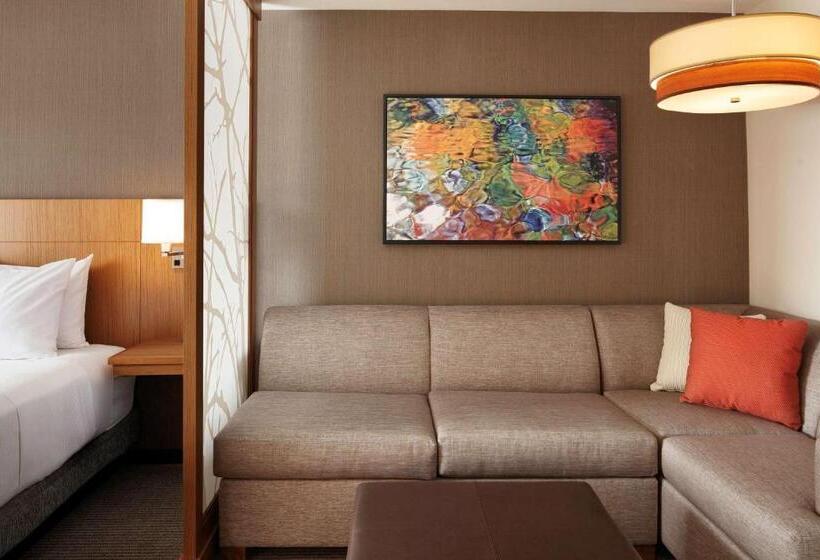 اتاق استاندارد با تخت دو نفره بزرگ برای معلولان, Hyatt Place Knoxville/downtown