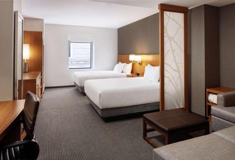 اتاق استاندارد با تخت دو نفره بزرگ برای معلولان, Hyatt Place Knoxville/downtown