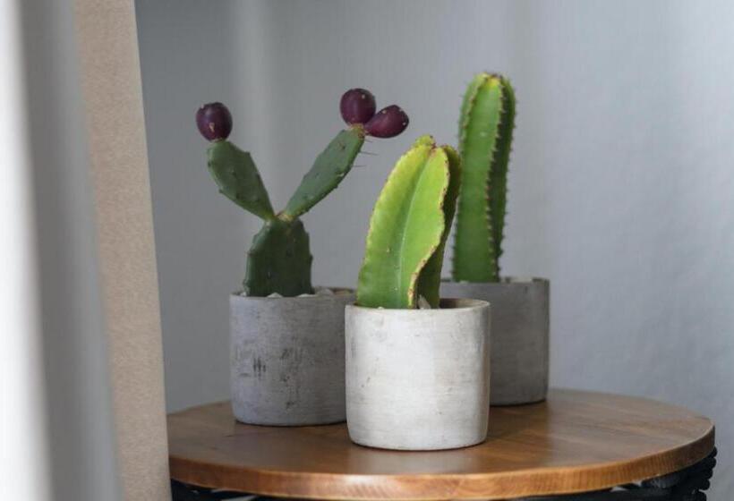 带1个卧室的豪华公寓, Olive Mykonos Villas