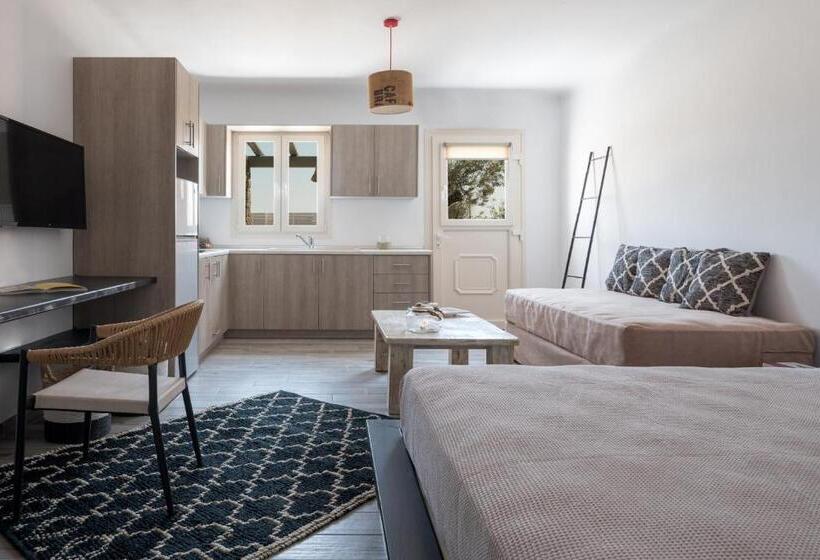 带1个卧室的豪华公寓, Olive Mykonos Villas