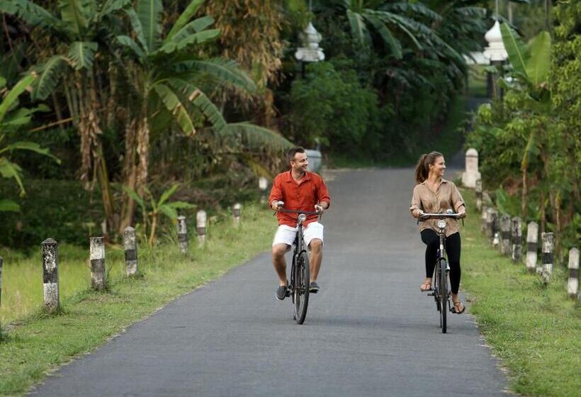 اتاق لوکس, Plataran Heritage Borobudur