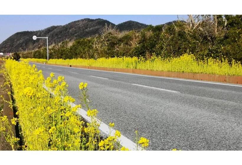 חדר סטודיו סטנדרד, Tateyama Resort