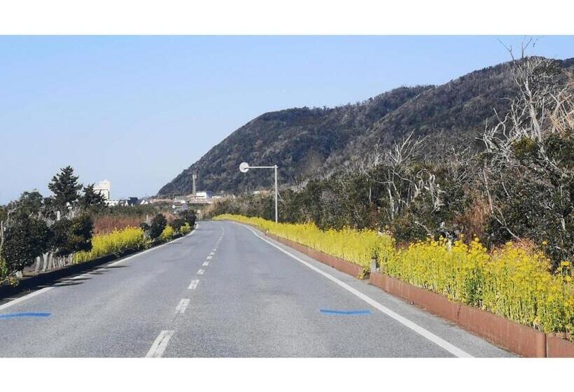 Escritório Estándar, Tateyama Resort