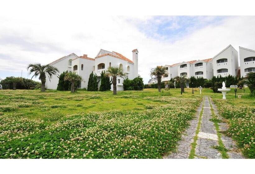 חדר סטודיו סטנדרד, Tateyama Resort