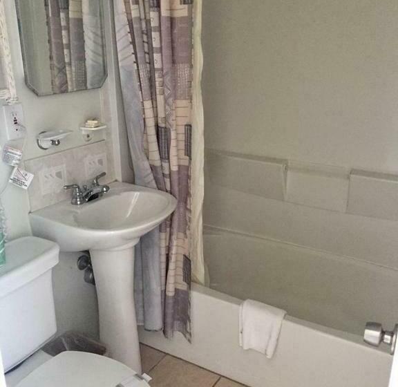 Номер Стандарт Вид на Бассейн, Astronaut Motel