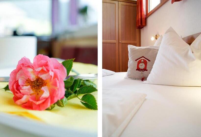 חדר סטנדרט נוף לאגם, Pension Apartment Erna