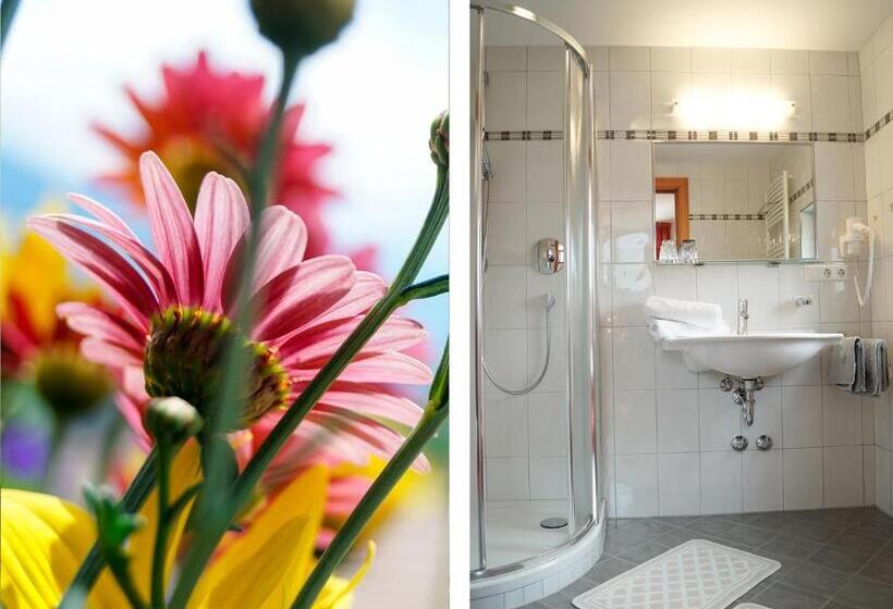 חדר אקונומי, Pension Apartment Erna