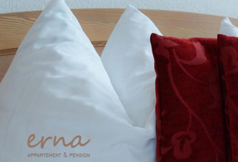 חדר אקונומי, Pension Apartment Erna