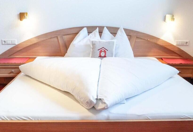 חדר אקונומי, Pension Apartment Erna