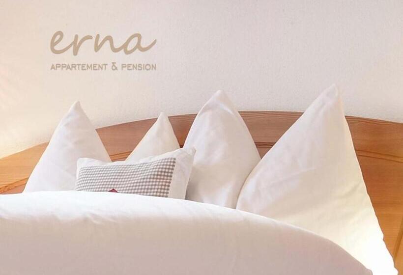 חדר אקונומי, Pension Apartment Erna