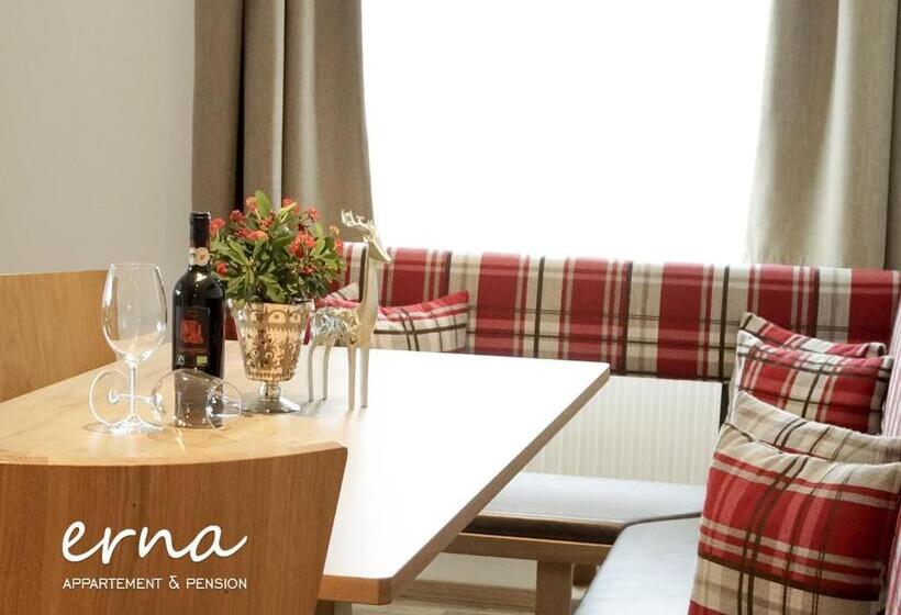 Апартаменты 1 Спальня с Видом, Pension Apartment Erna