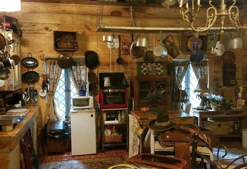 منزل غرفة نوم واحدة, Daffodale House B&b