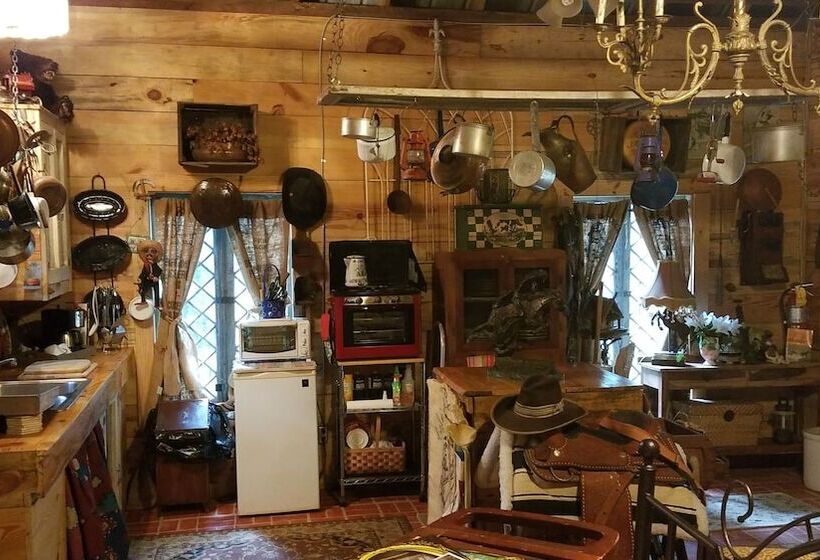 منزل غرفة نوم واحدة, Daffodale House B&b